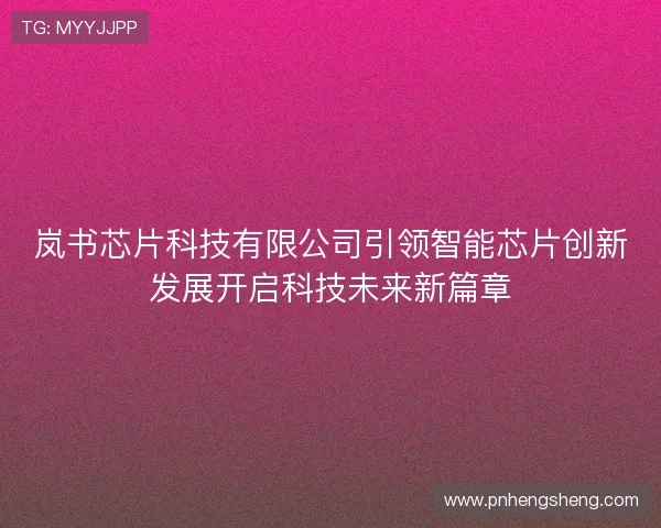 岚书芯片科技有限公司引领智能芯片创新发展开启科技未来新篇章
